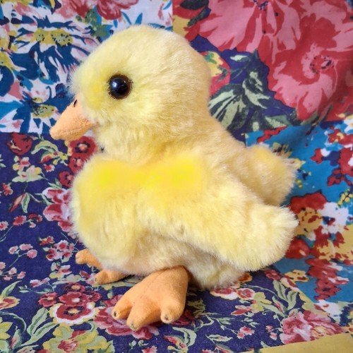 Wilberry duck chick - 6",