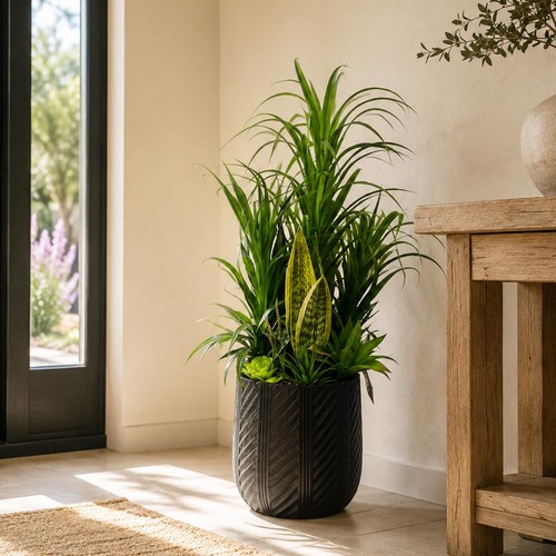 Artificial yukka display - yukka, in