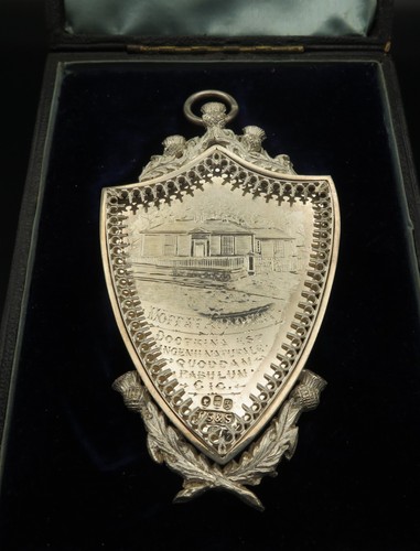 Cased victorian silver dux - silver,