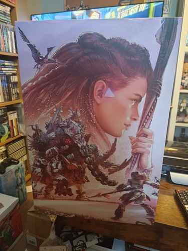 Horizon forbidden west - horizon,