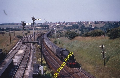 Colour rail 35mm - rail,