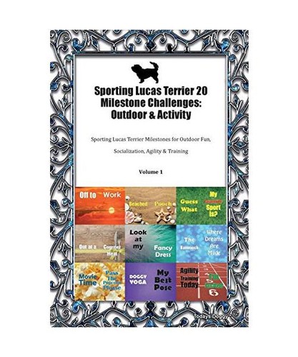 Sporting lucas terrier - terrier, 20
