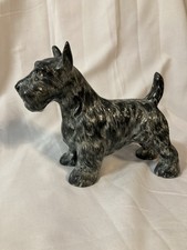 Kelsboro Scottie Terrier Dog