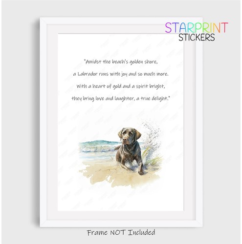 Labrador retriever chocolate - retriever,