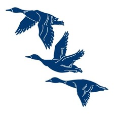 LOOK 6 Photos VERY RARE 3 DIES