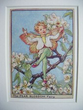 Vintage Flower Fairies Print &