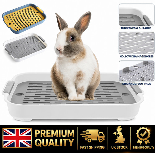 Rabbit litter tray bunny - rabbit,