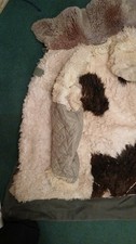 Swedish M1909 Sheepskin lined