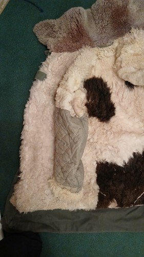 Swedish m1909 sheepskin lined - swedish,