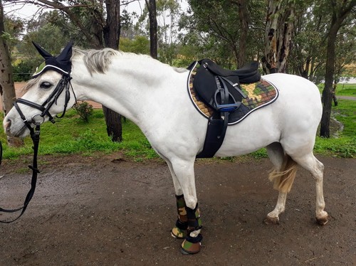 Green camo saddle pad - pad,
