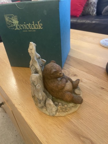 Teviotdale resting bear - resting,