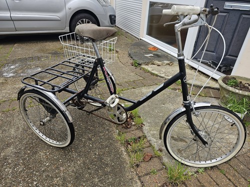 Pashley picador tricycle 3 - pashley, tricycle,