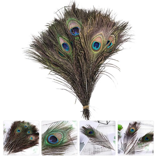 Multi color peacock plumes - multi,