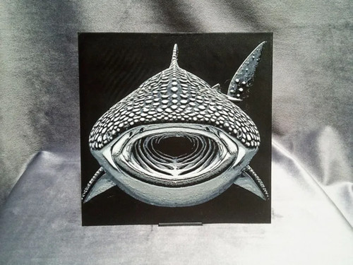 Whale shark - whale,