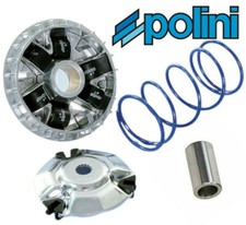 Polini Performance Variator