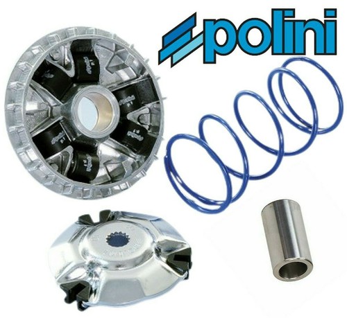Polini performance variator - polini,