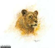 African Wildlife Art Print