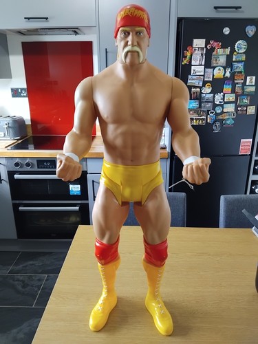 Wicked cool toys - cool, wwe