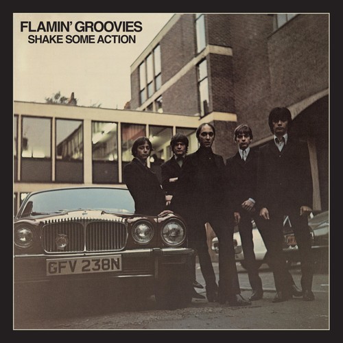 Flamin groovies shake some - flamin',