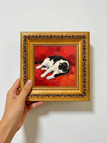 Tuxedo cat sleeping red - cat, on