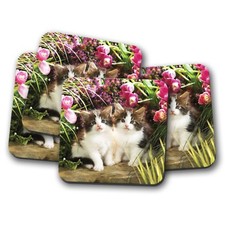 4 Set - Beautiful Kittens