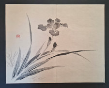 Antique (1894) Japanese Woodblock print - Iris - Taki Katei