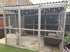 Indoor outdoor cat enclosure - indoor/outdoor,