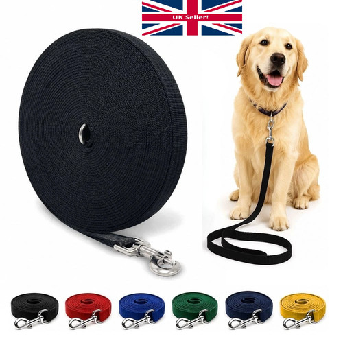 Dog training lead long - long, recall