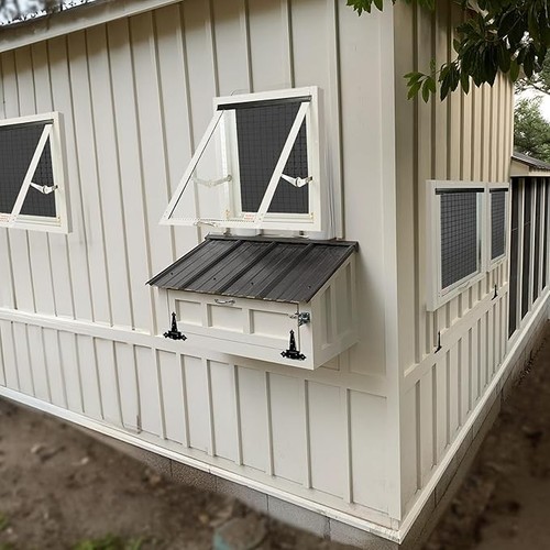 Chicken coop shed - chicken, &