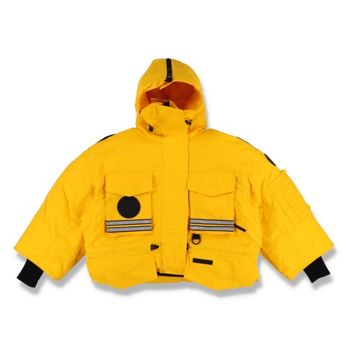 Canada goose angel chen - goose,