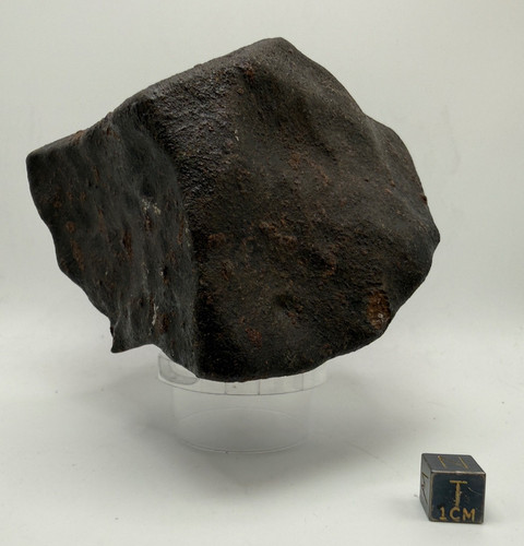 Large display meteorite 136 - meteorite, 1,136