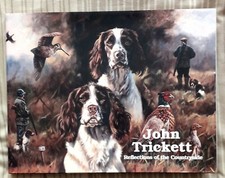 JOHN TRICKETT REFLECTIONS OF