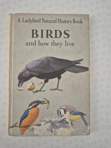 Ladybird book series - ladybird,