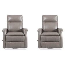 Bristol - Graphite Swivel