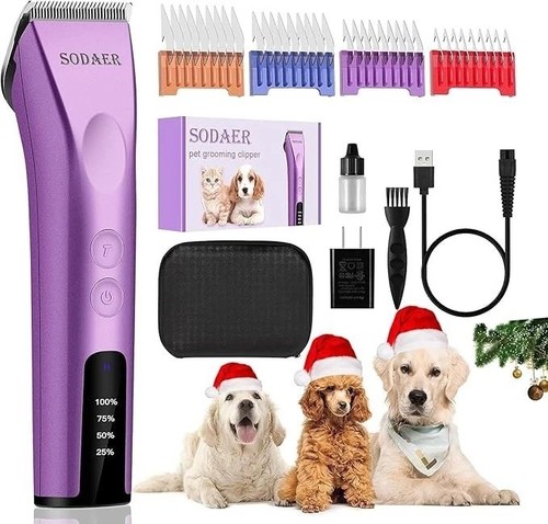 Professional animal dog and - animal,