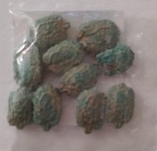 Long Bitter Gourd Karela