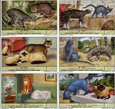 Russian Blue Manx Siamese Birman Persian Abyssinian Set of 6 Cat Trade Cards