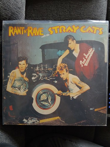 Stray cats rant - stray,