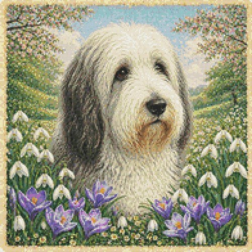 Polish lowland sheepdog - polish,