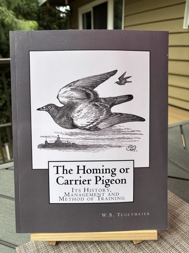 The homing carrier pigeon - the,