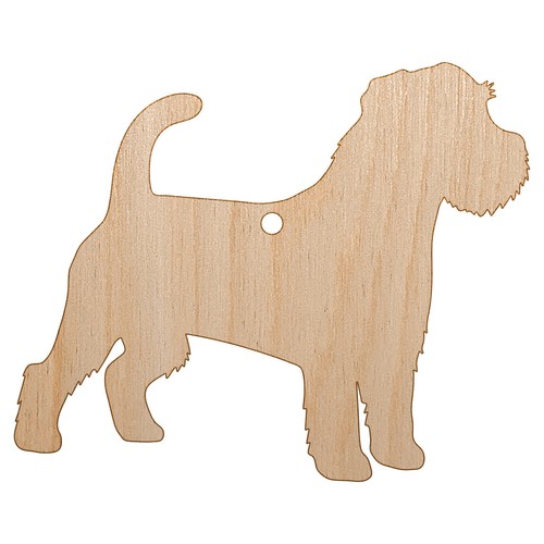 Rough coated jack russell - coated,