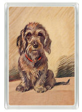 FRIDGE MAGNET BEAUTIFUL  DOG