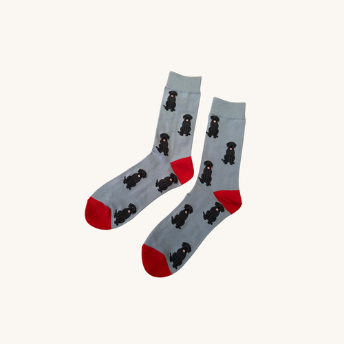 Black labrador socks dog - black,