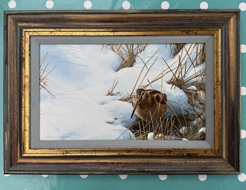 Original terence lambert - original,