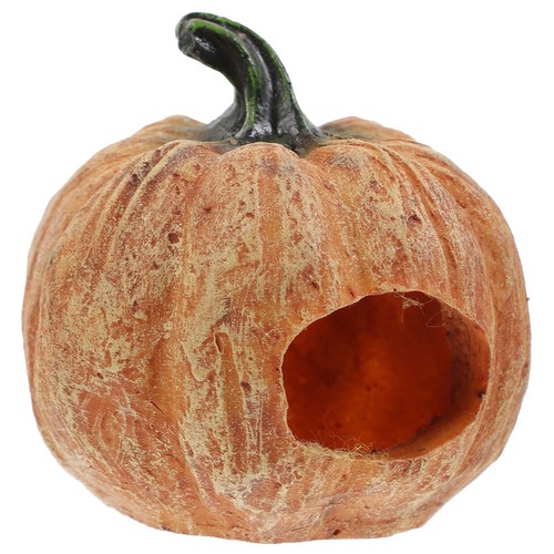 Snake hidepumpkin reptile rock - snake,