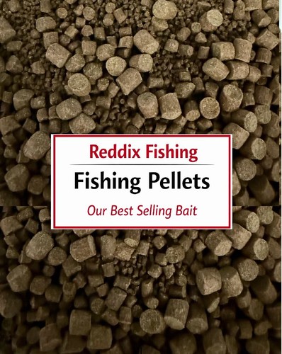 Reddix course fishing pellet - reddix,