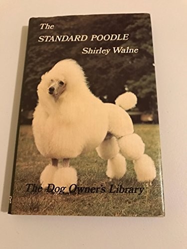 Standard poodle walne - standard,