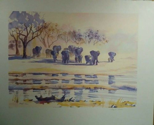 Hazel soan elephant the - soan, at