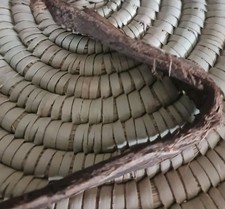 Dandasa Sakra Akhrot Chhal