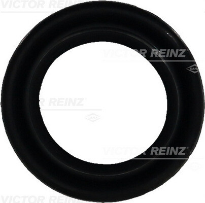 Victor reinz 25876 - victor, 71-25876-00